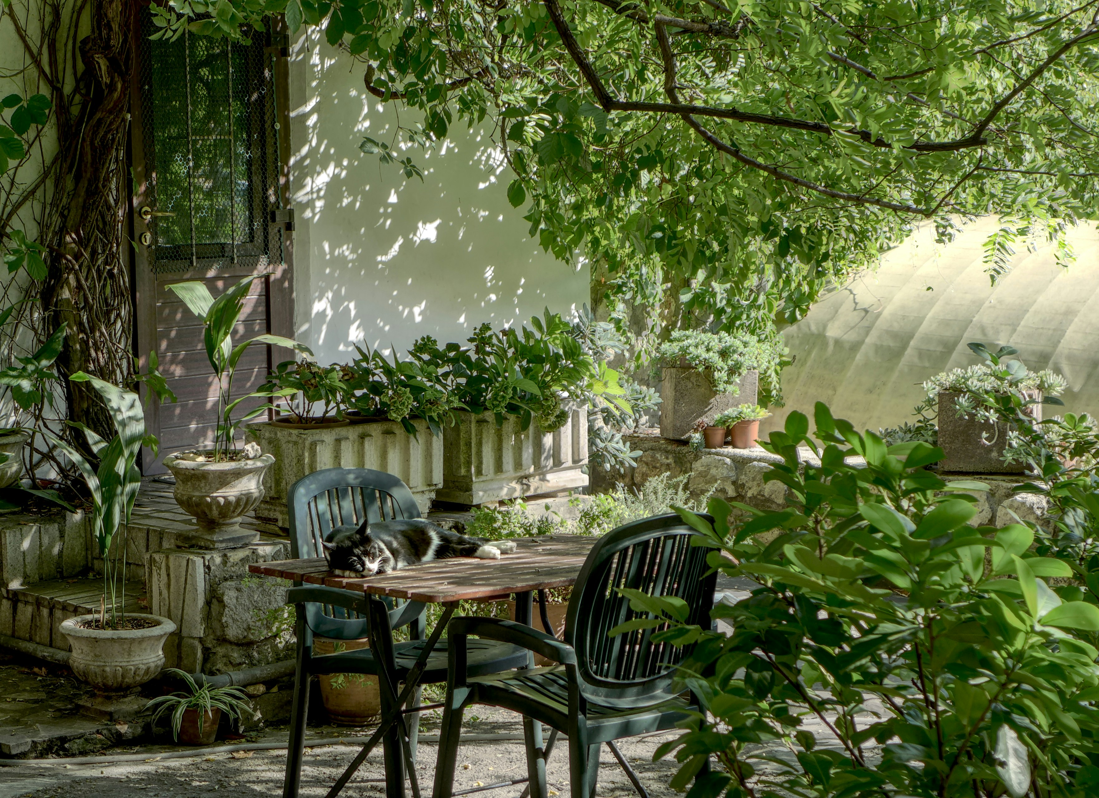 Detalle de plantas y canteros
